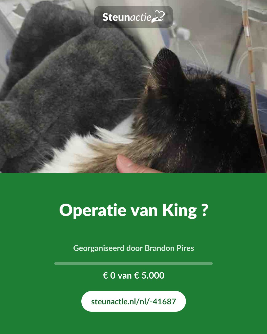 Voorbeeld van de afbeelding