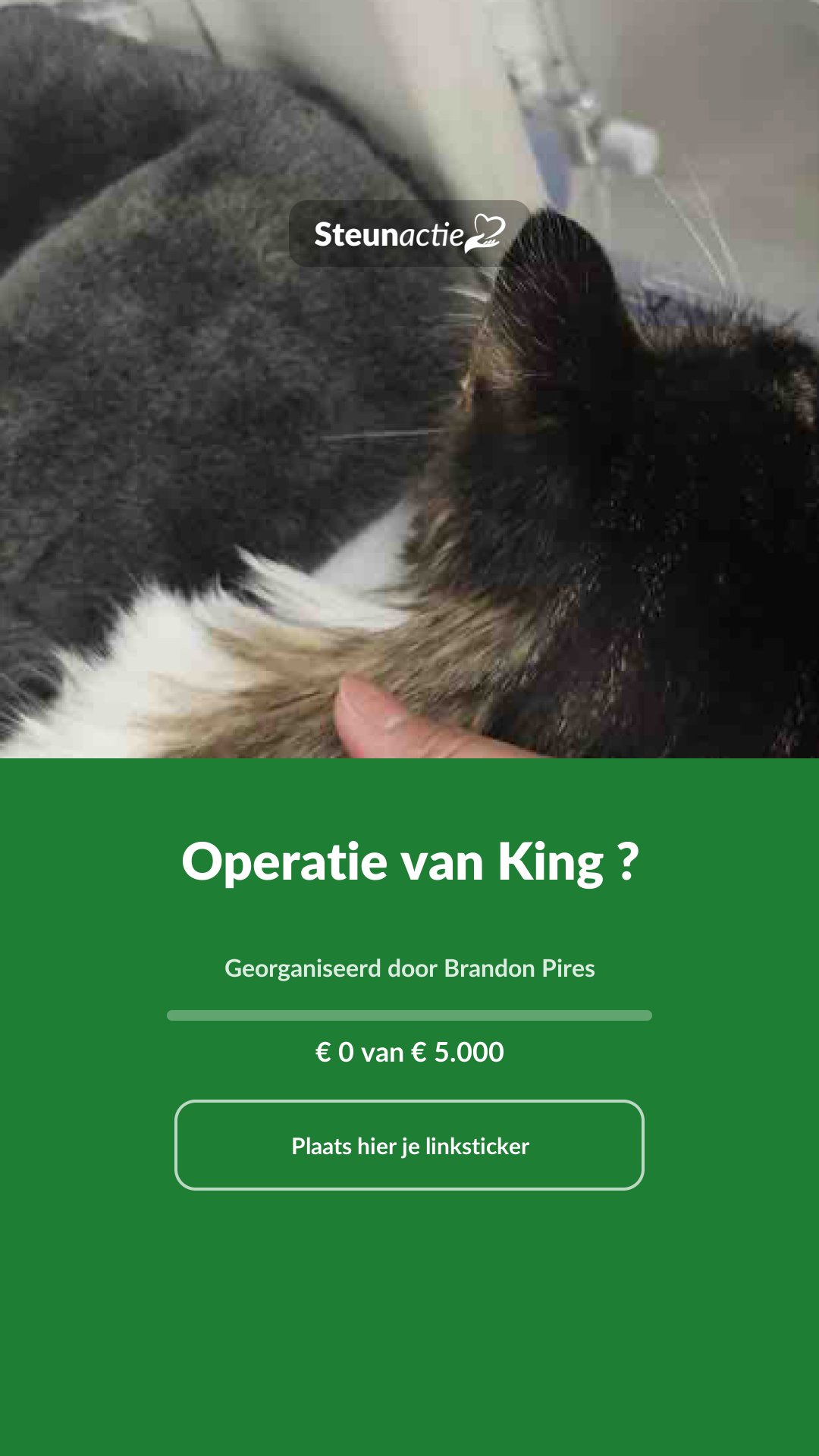 Voorbeeld van de afbeelding
