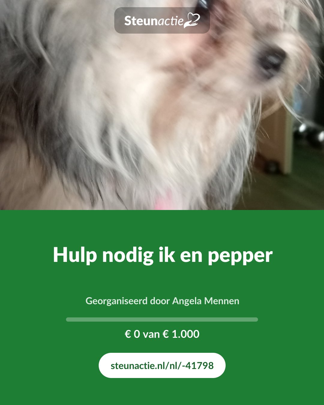Voorbeeld van de afbeelding
