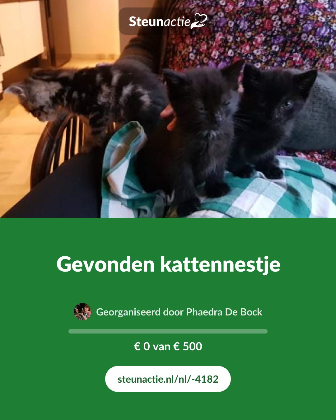 Voorbeeld van de afbeelding