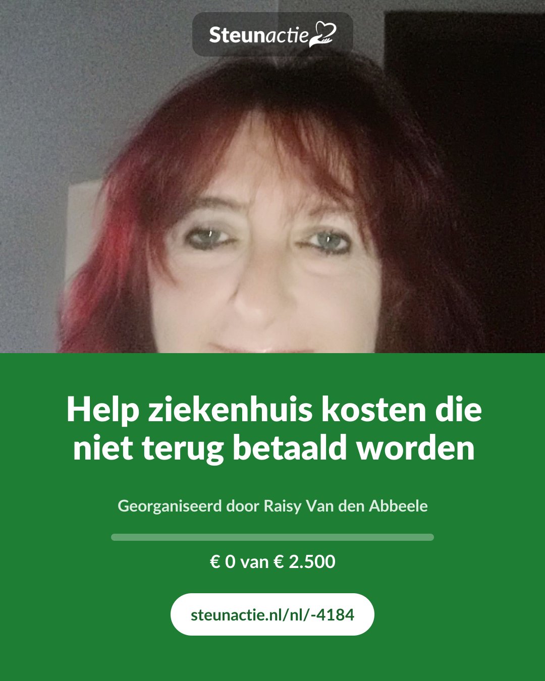 Voorbeeld van de afbeelding
