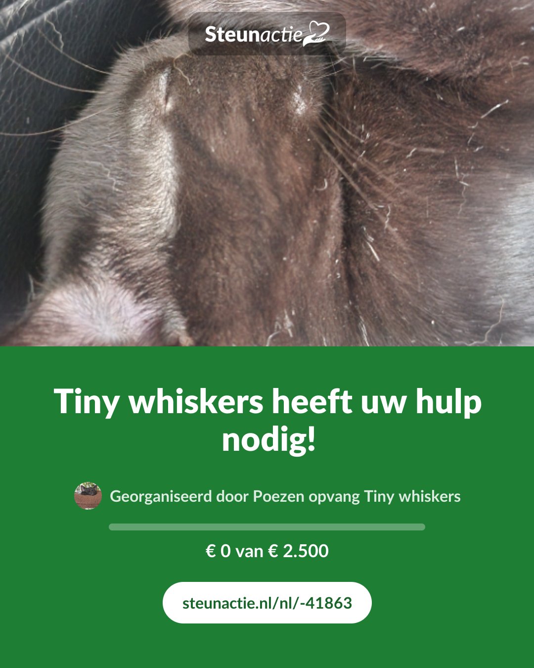 Voorbeeld van de afbeelding