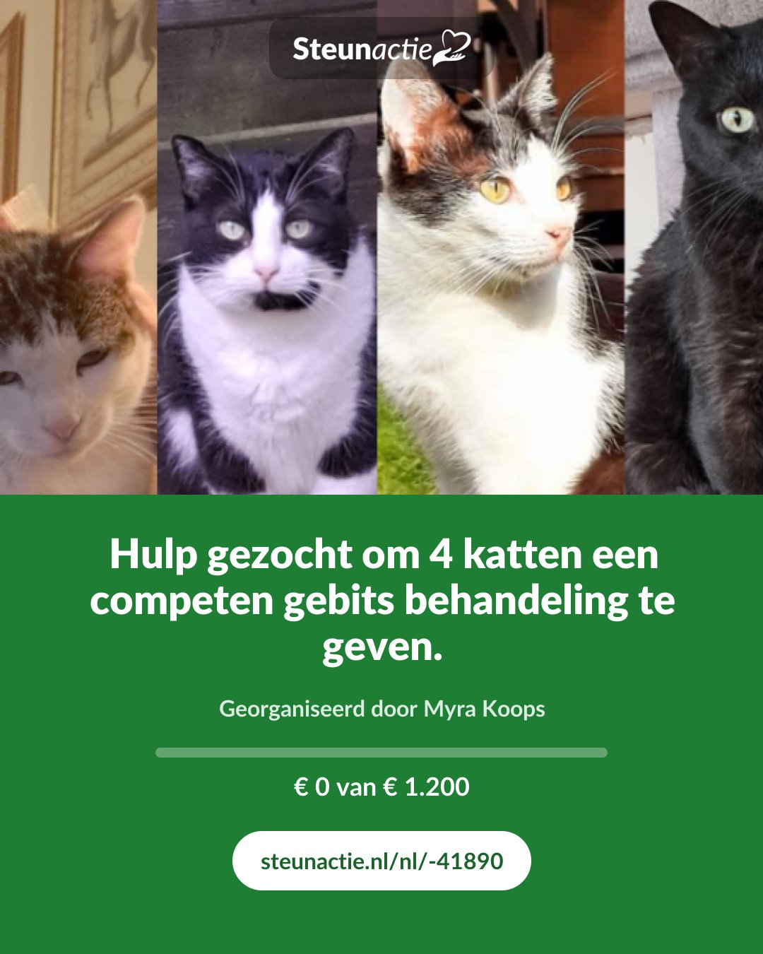 Voorbeeld van de afbeelding