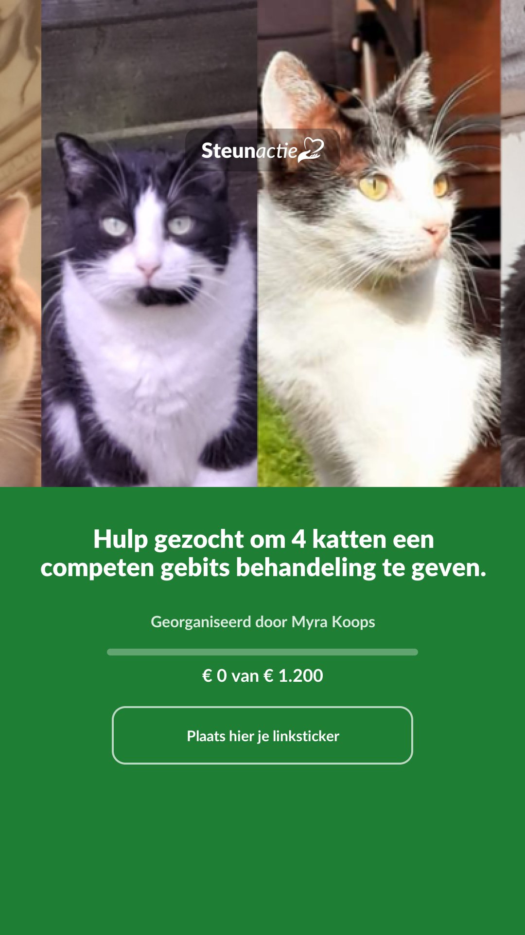 Voorbeeld van de afbeelding