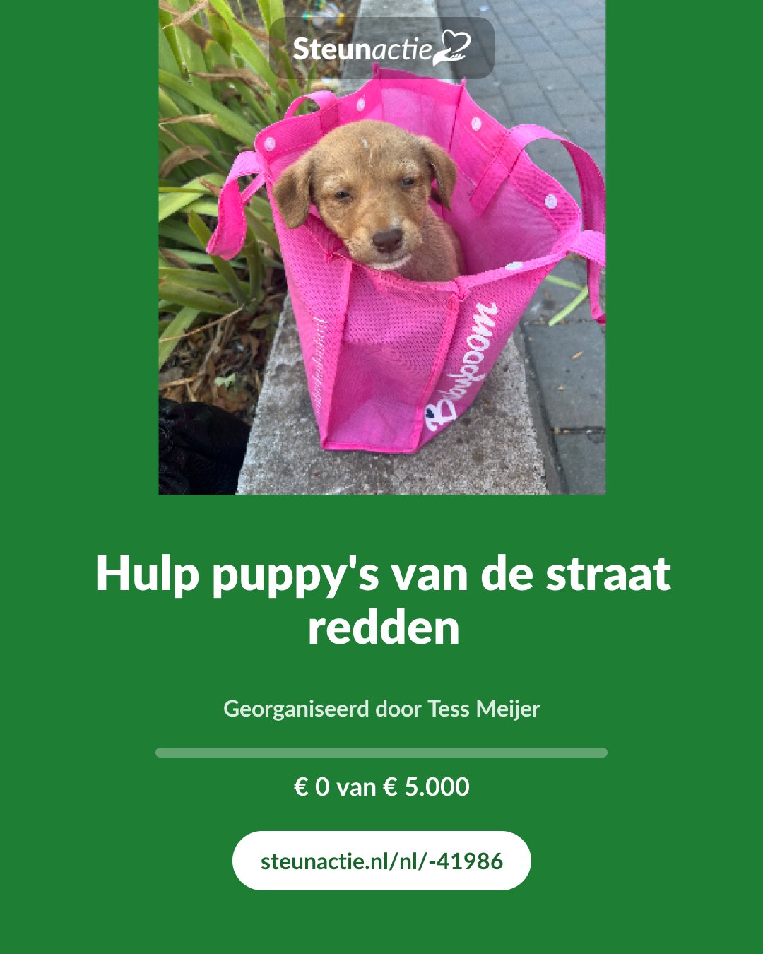 Voorbeeld van de afbeelding