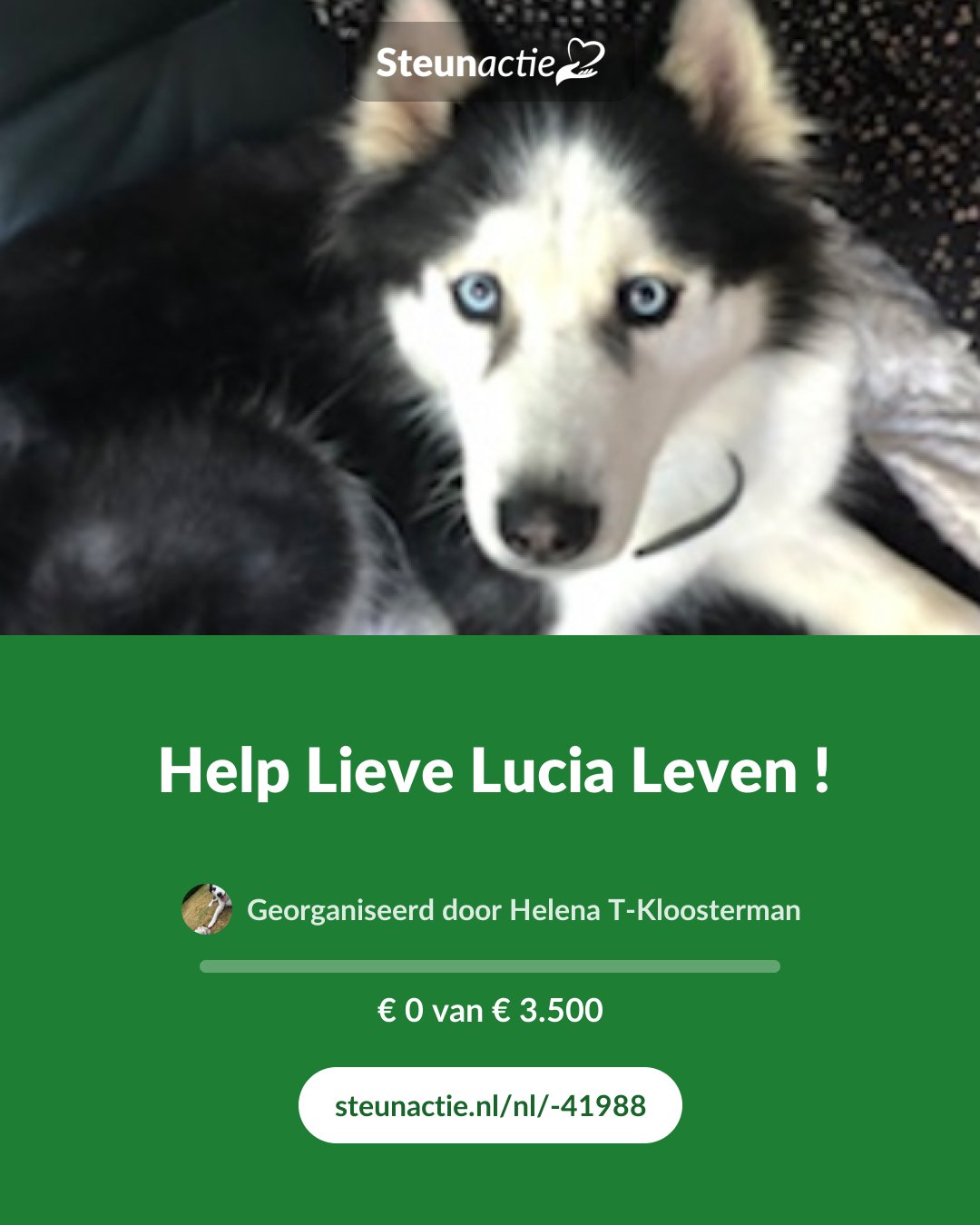 Voorbeeld van de afbeelding