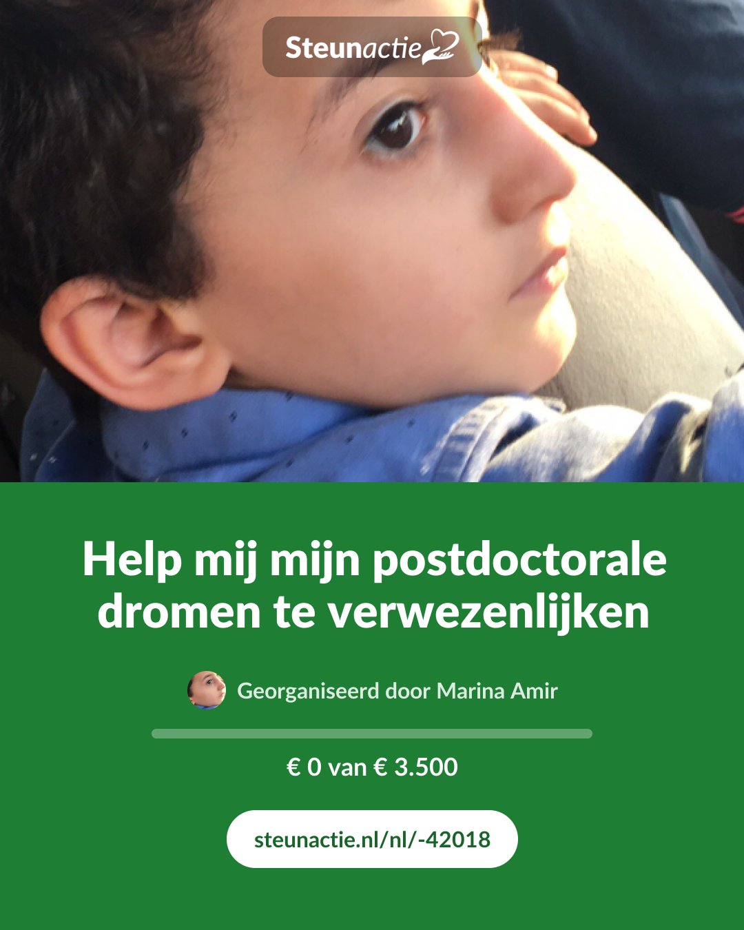 Voorbeeld van de afbeelding