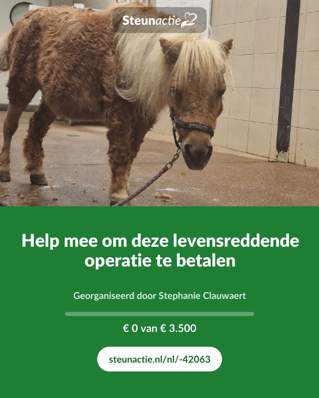 Voorbeeld van de afbeelding