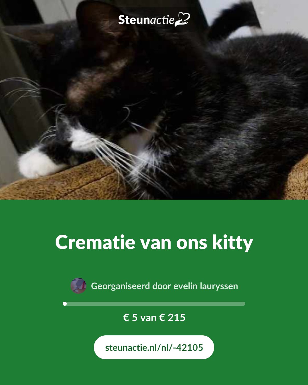 Voorbeeld van de afbeelding