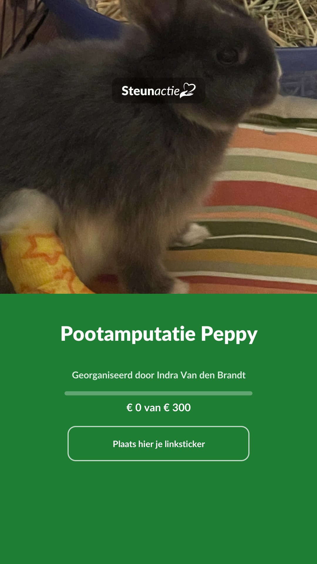 Voorbeeld van de afbeelding