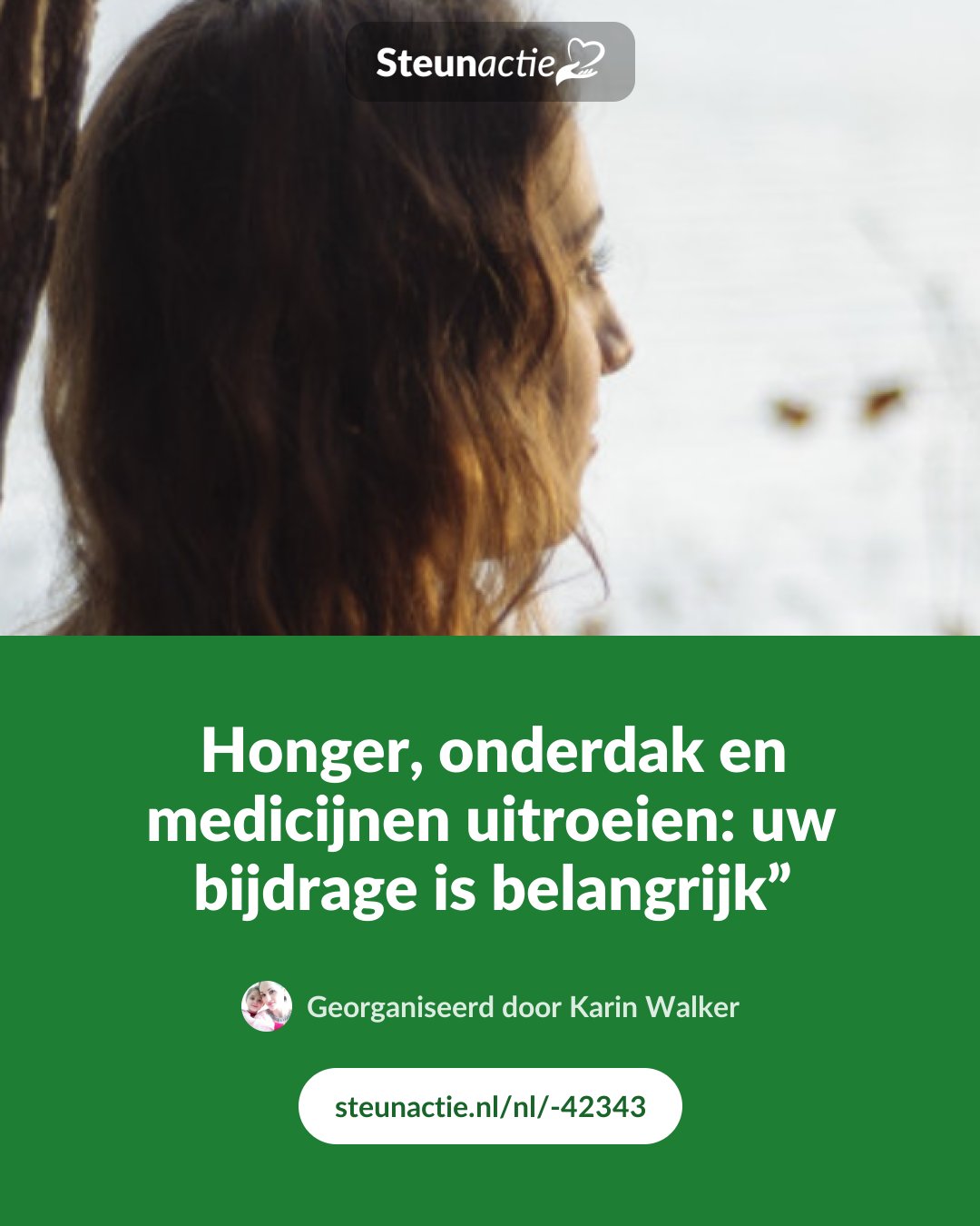 Voorbeeld van de afbeelding