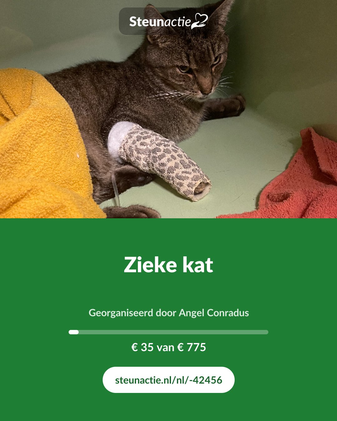 Voorbeeld van de afbeelding