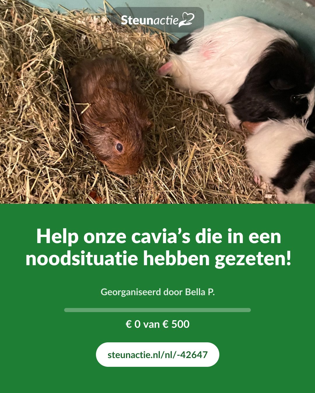 Voorbeeld van de afbeelding