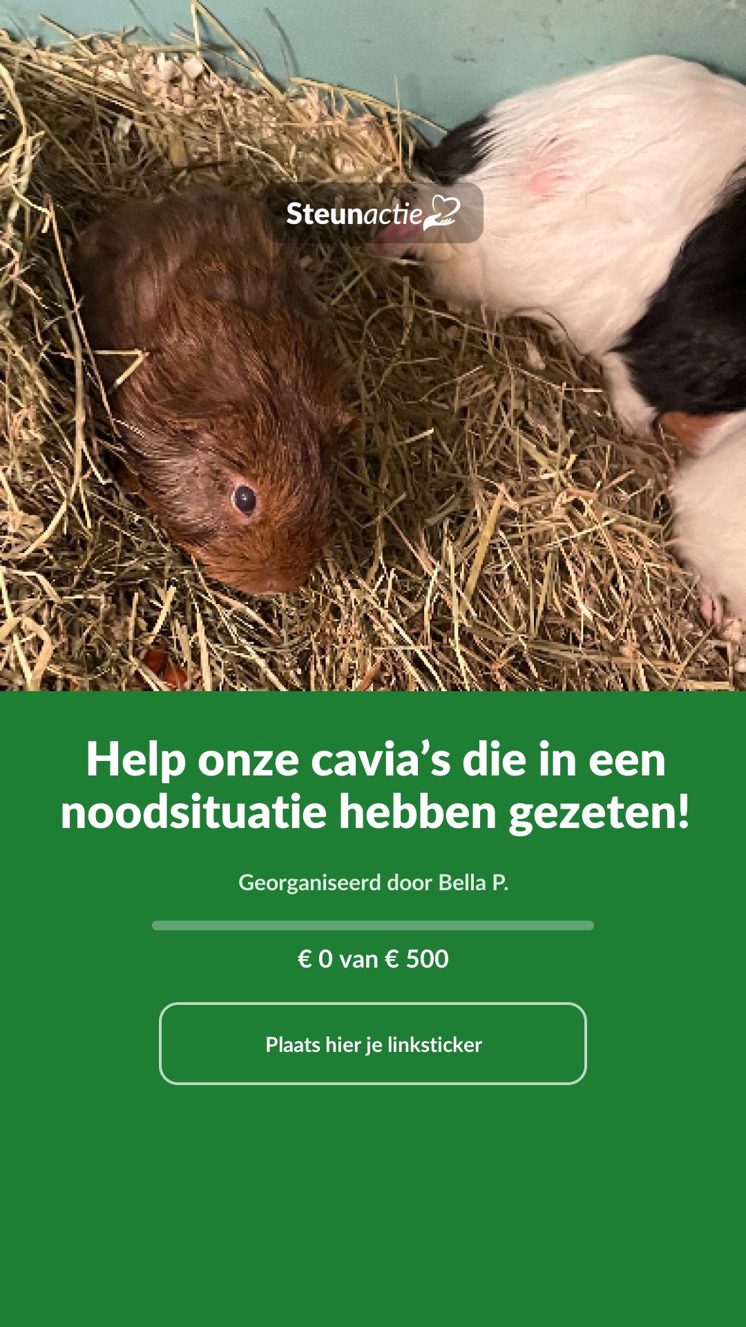 Voorbeeld van de afbeelding