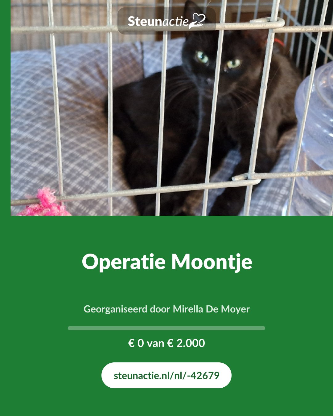 Voorbeeld van de afbeelding