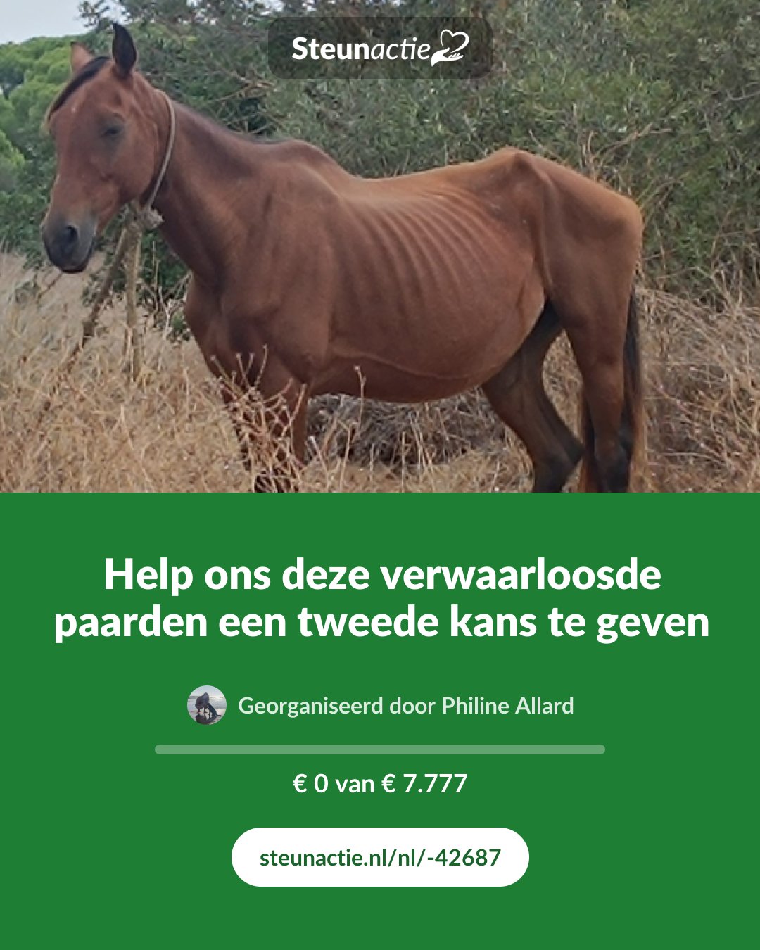 Voorbeeld van de afbeelding