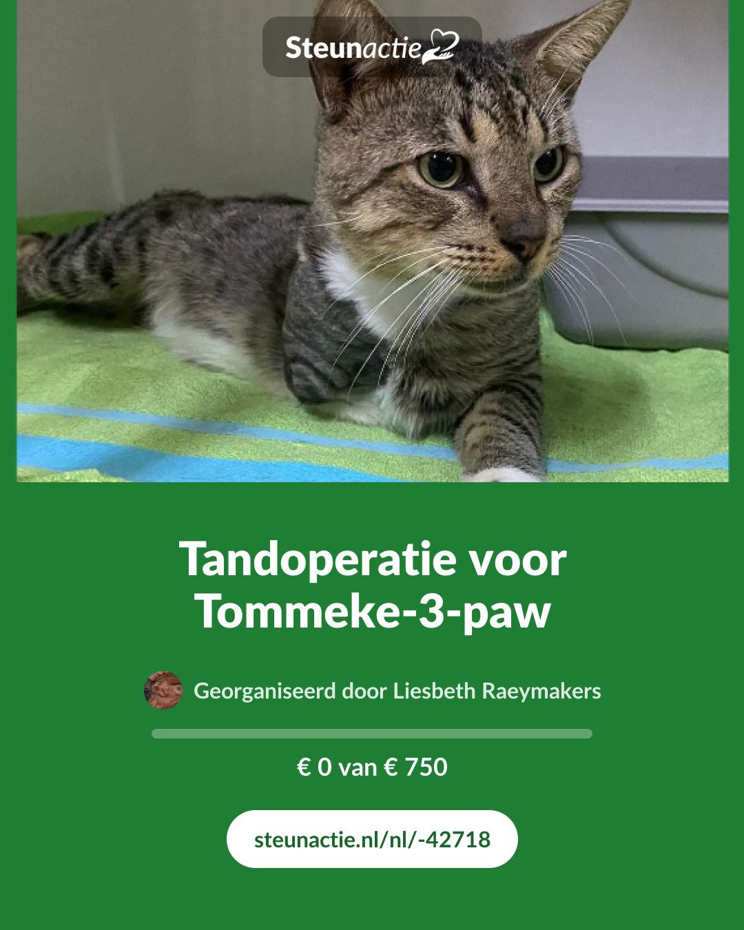 Voorbeeld van de afbeelding