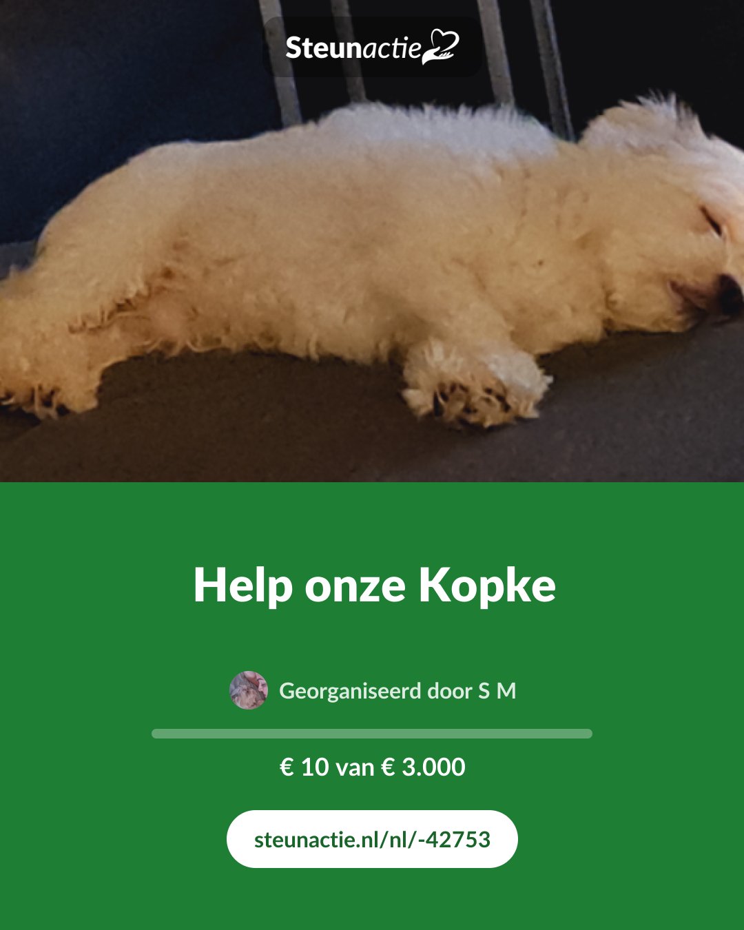 Voorbeeld van de afbeelding