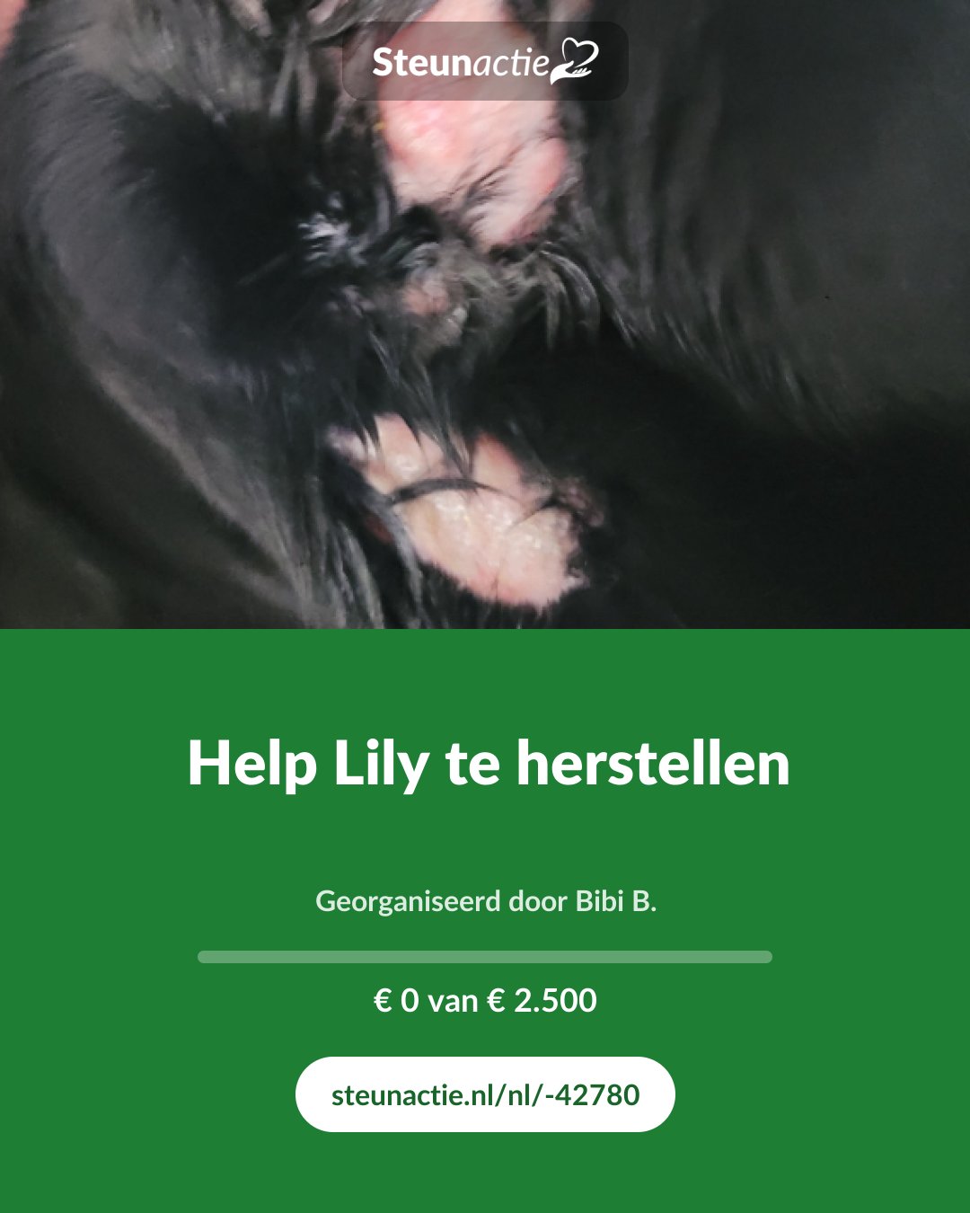 Voorbeeld van de afbeelding