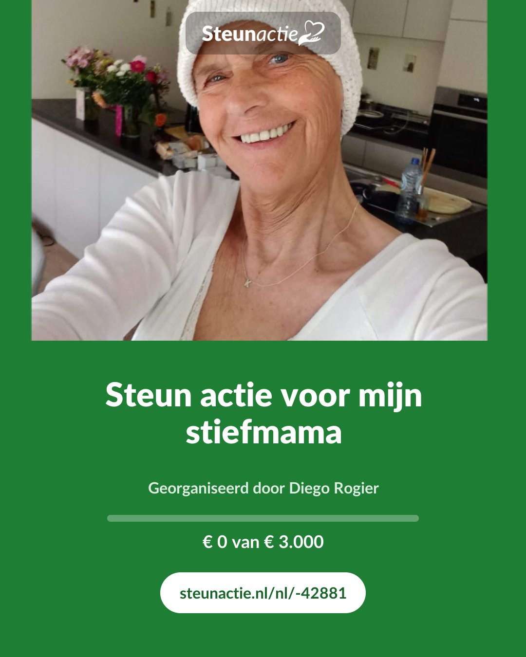 Voorbeeld van de afbeelding