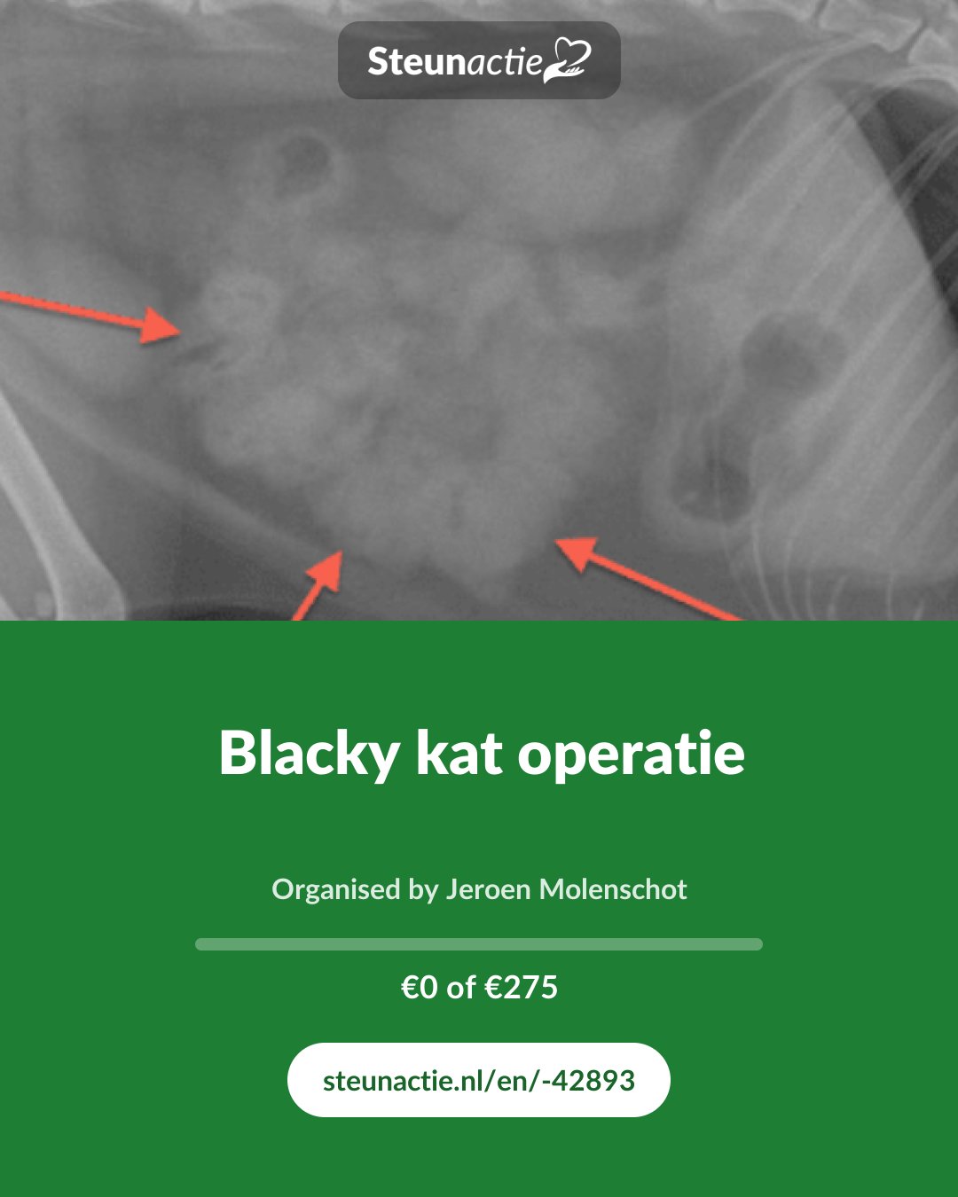 Preview of the image