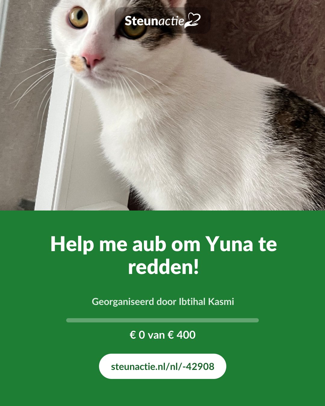 Voorbeeld van de afbeelding