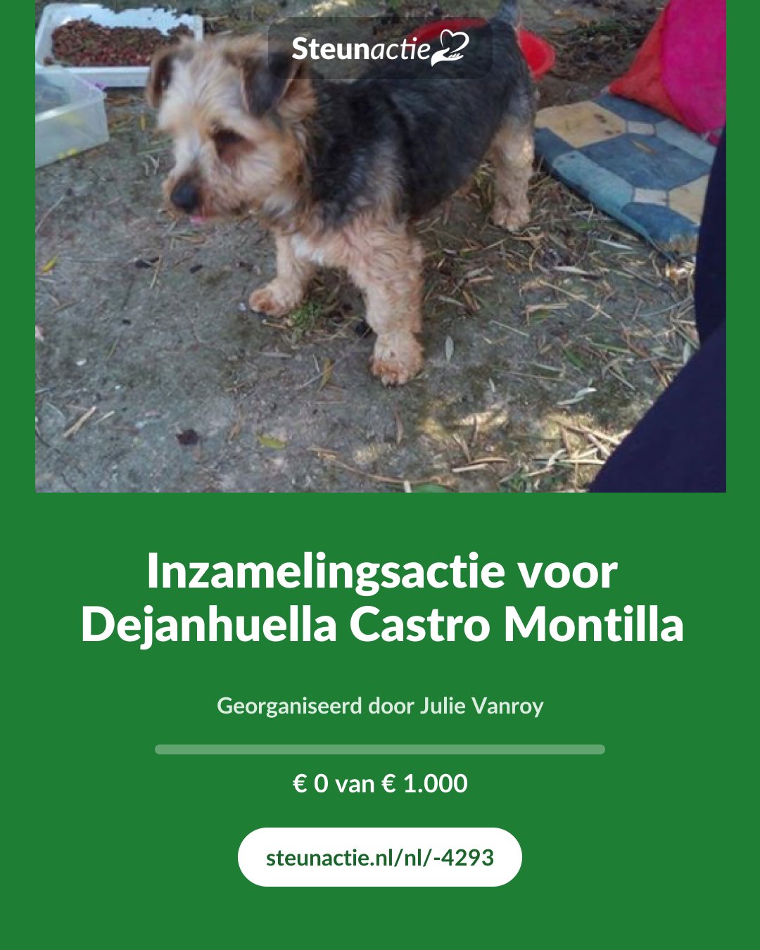 Voorbeeld van de afbeelding
