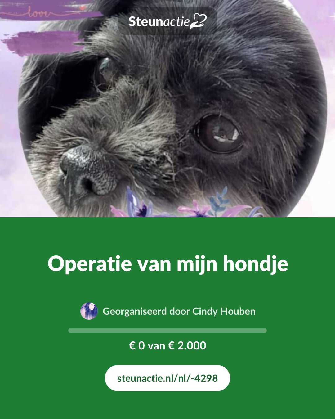 Voorbeeld van de afbeelding