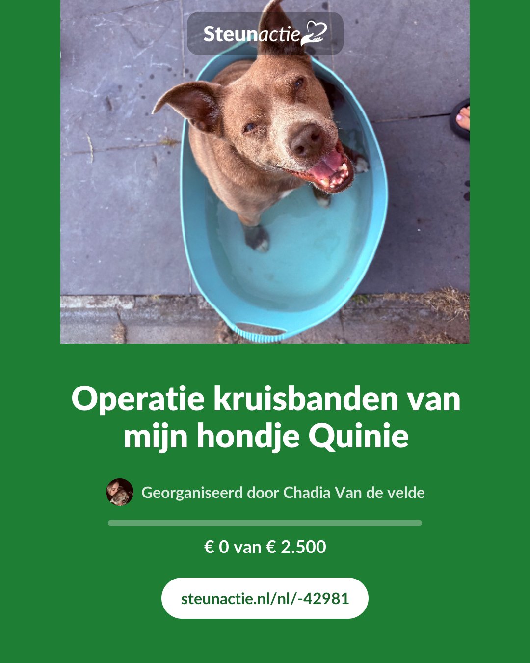 Voorbeeld van de afbeelding