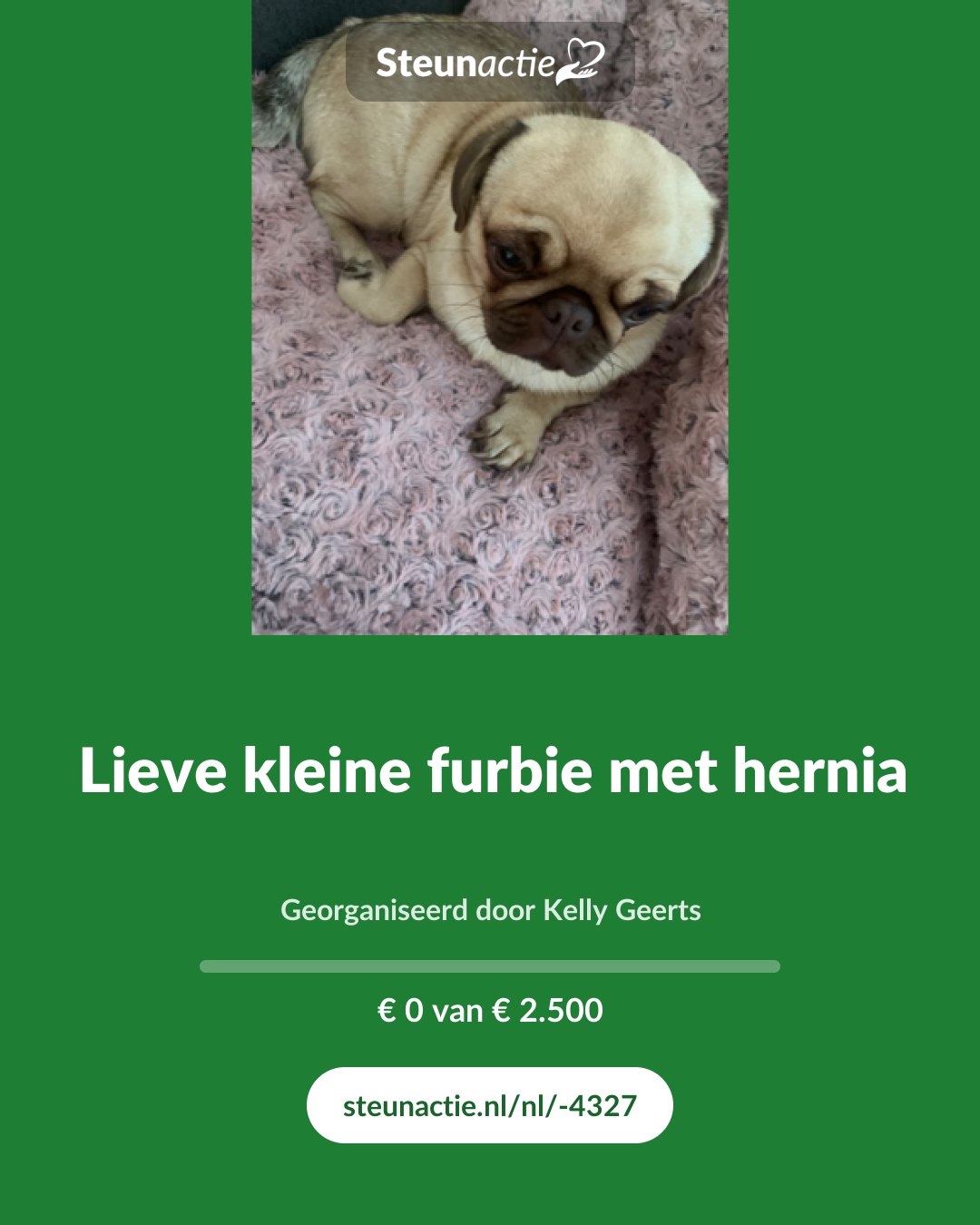 Voorbeeld van de afbeelding