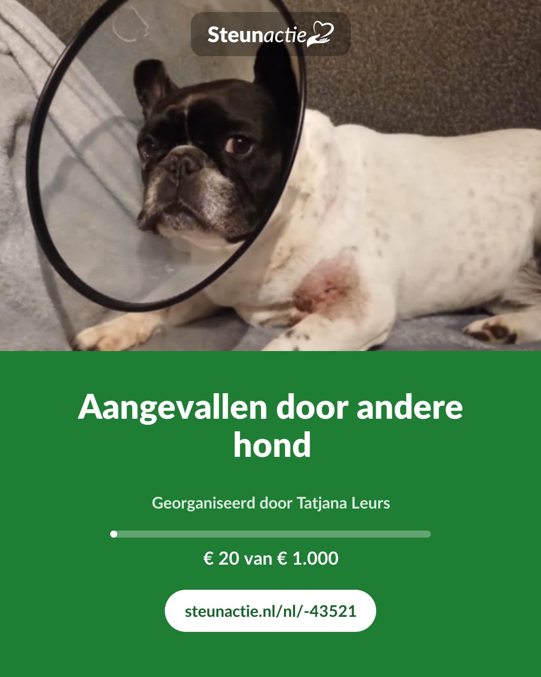 Voorbeeld van de afbeelding
