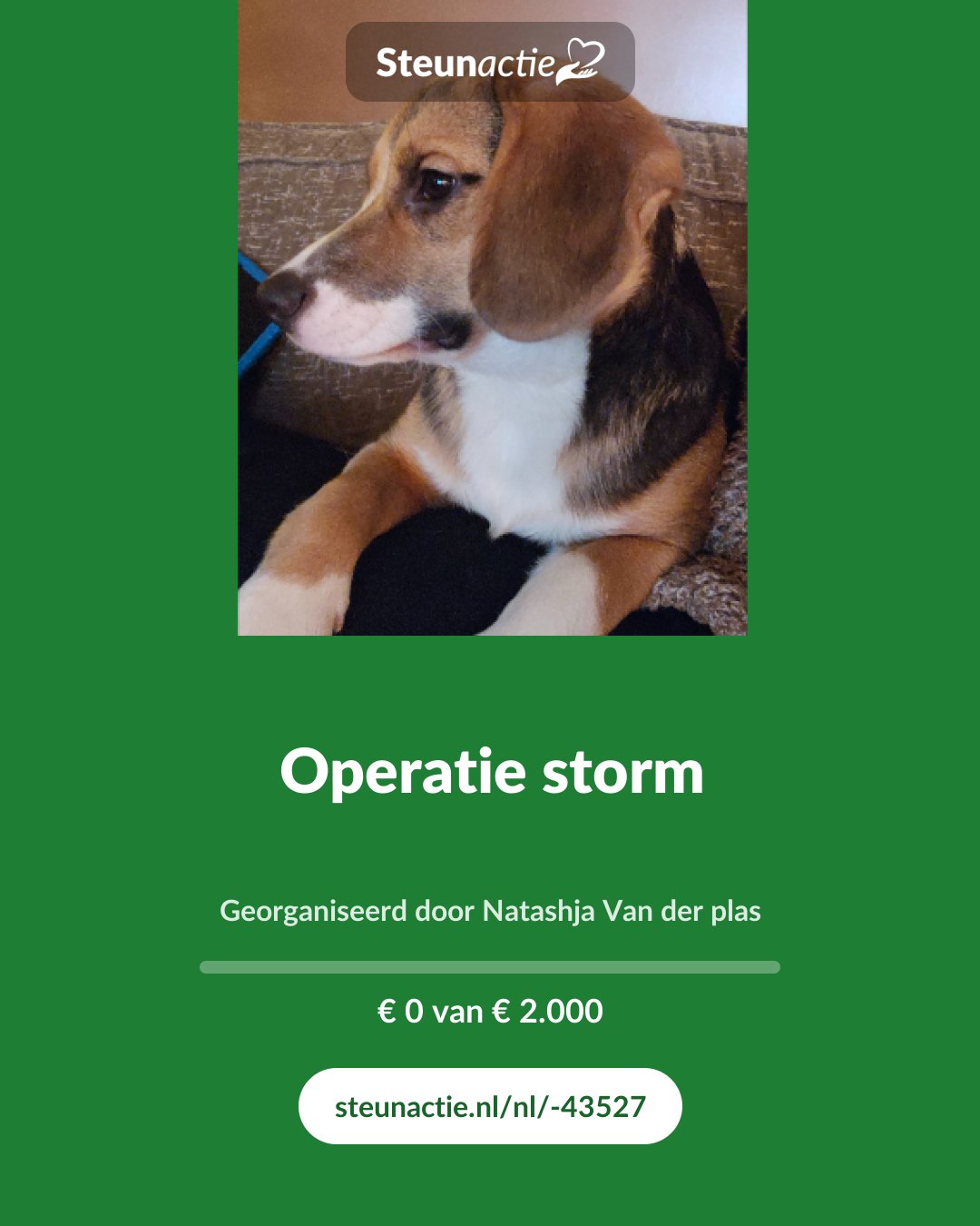 Voorbeeld van de afbeelding