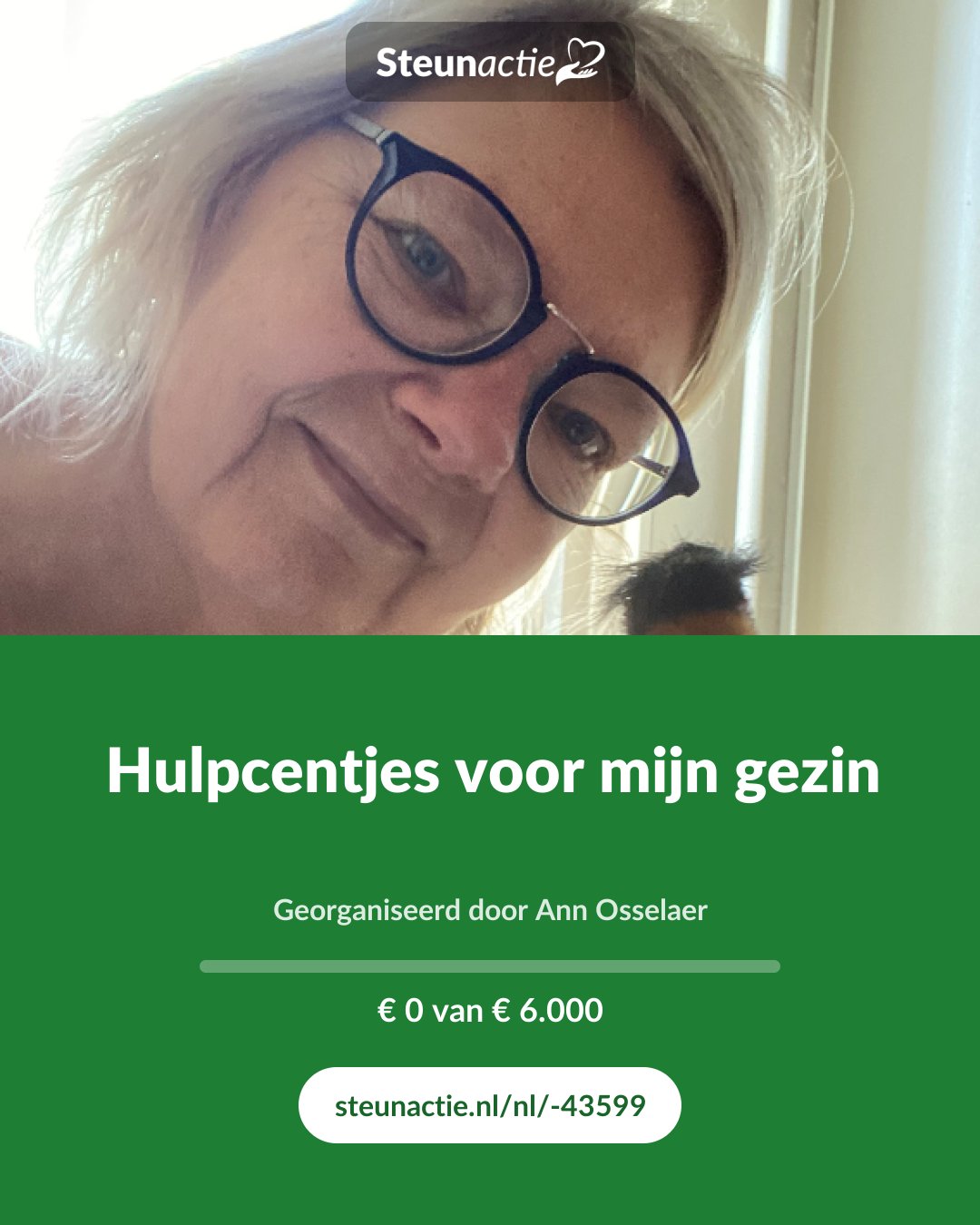 Voorbeeld van de afbeelding