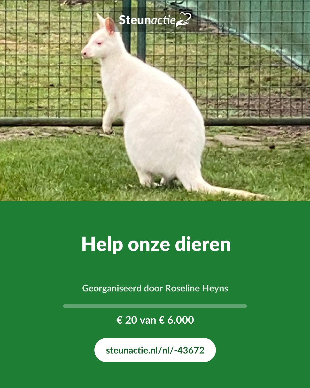 Voorbeeld van de afbeelding