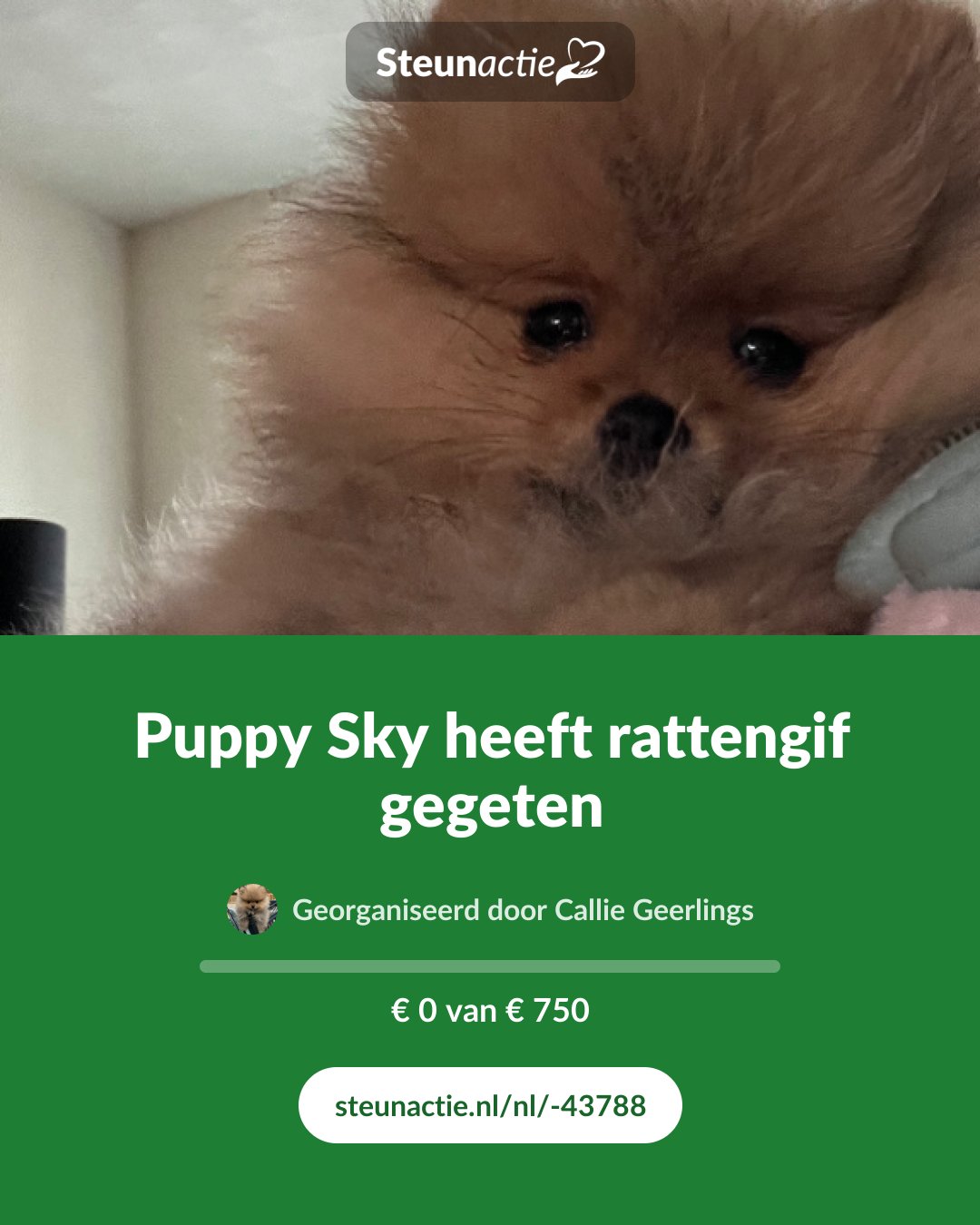 Voorbeeld van de afbeelding