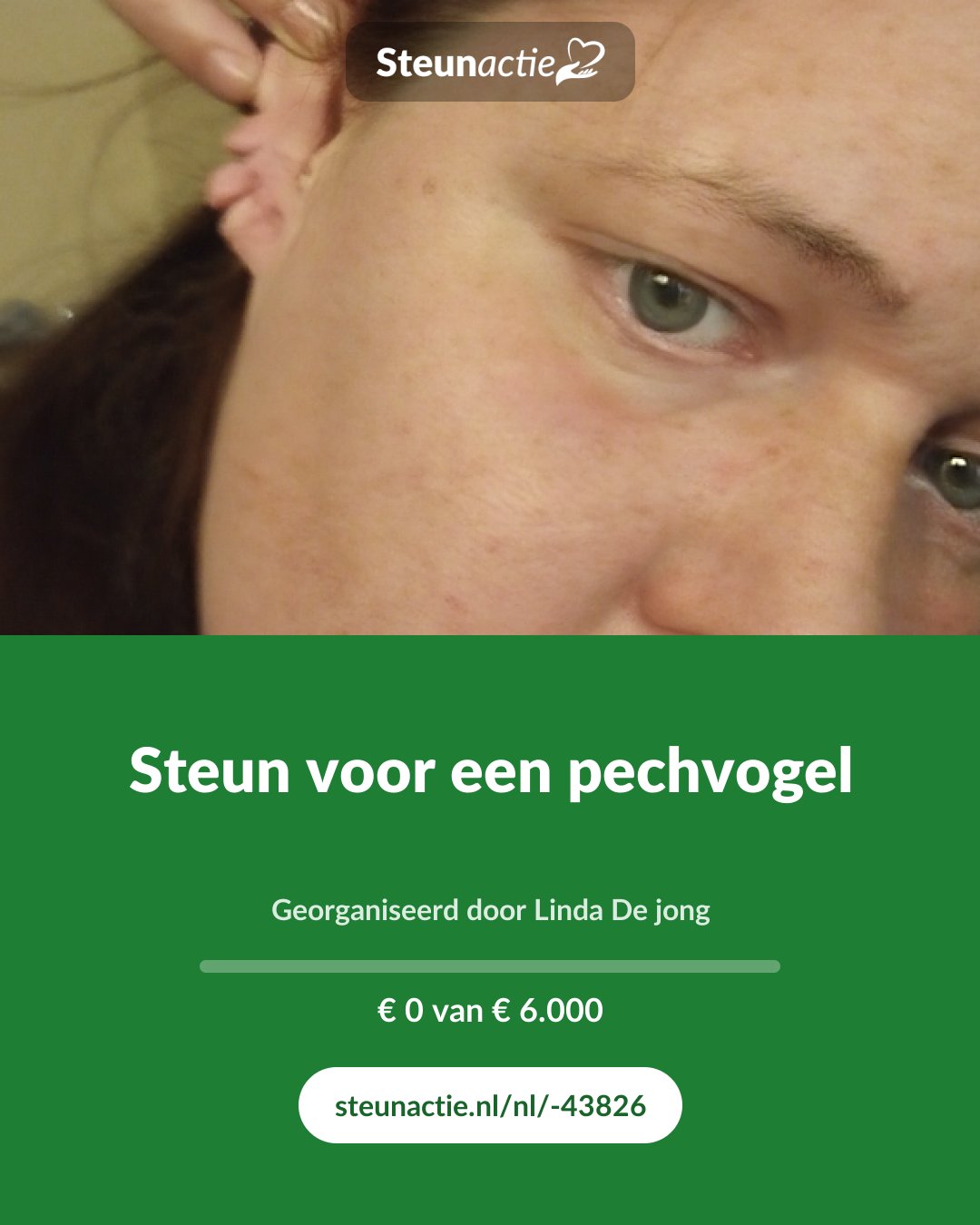 Voorbeeld van de afbeelding