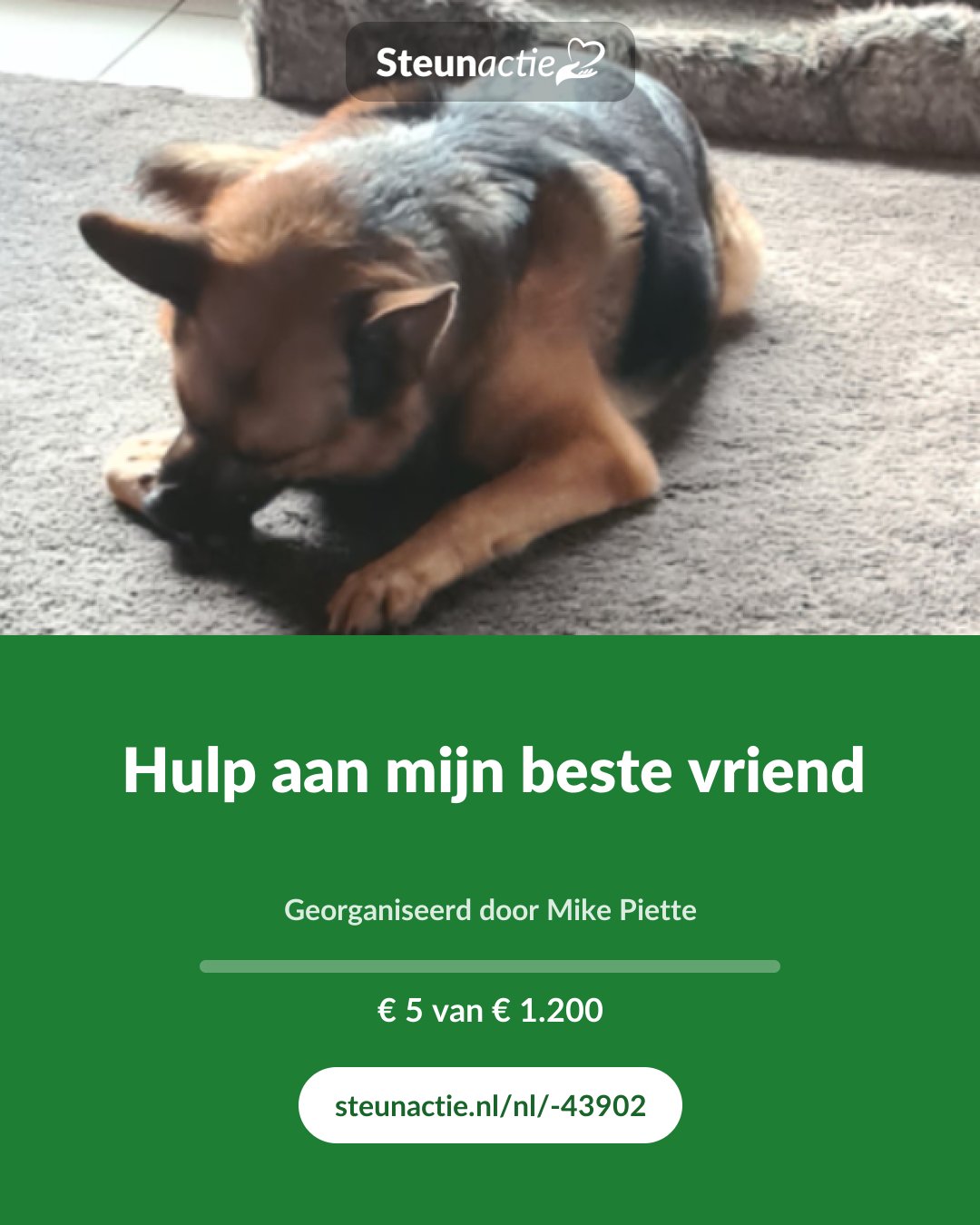 Voorbeeld van de afbeelding
