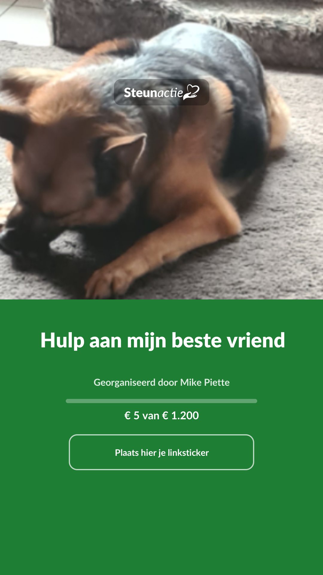 Voorbeeld van de afbeelding