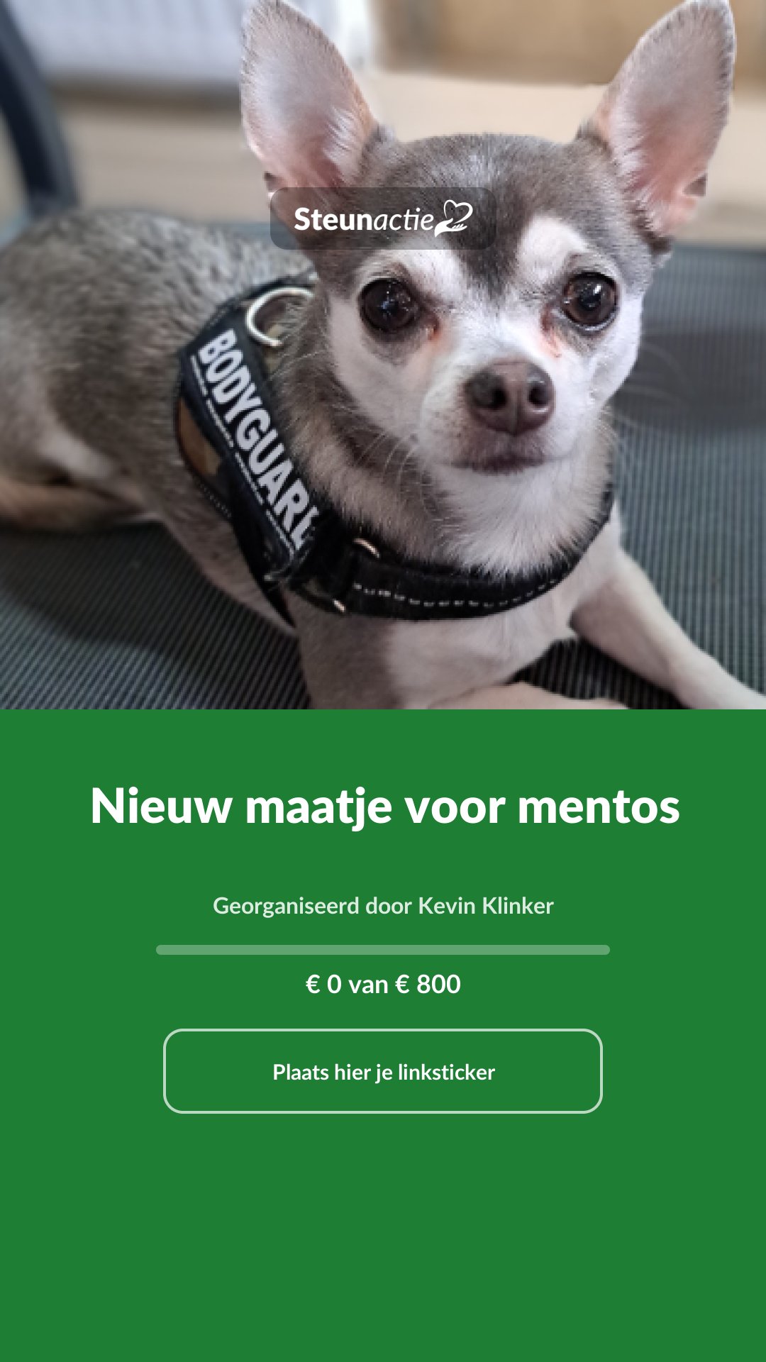 Voorbeeld van de afbeelding