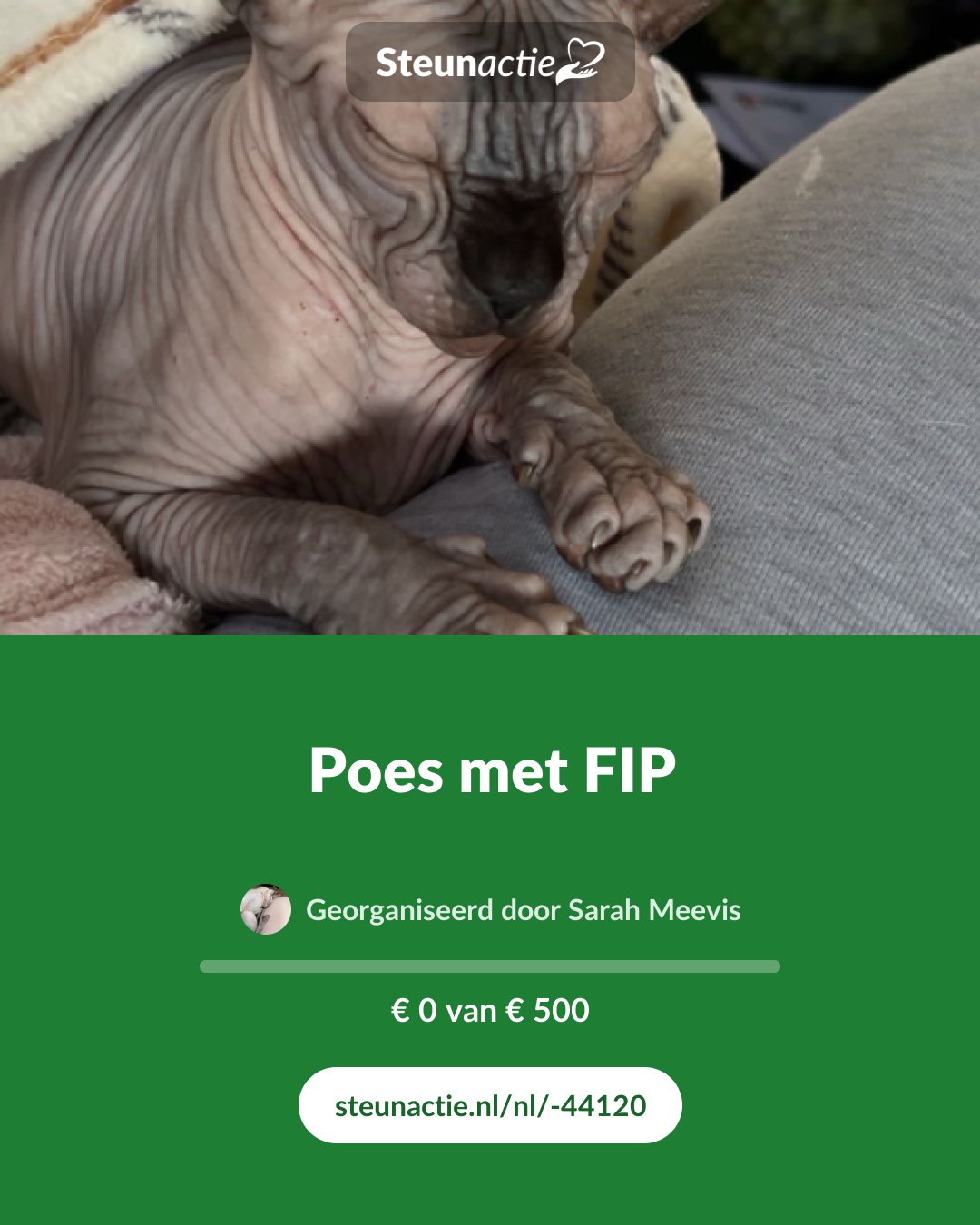 Voorbeeld van de afbeelding