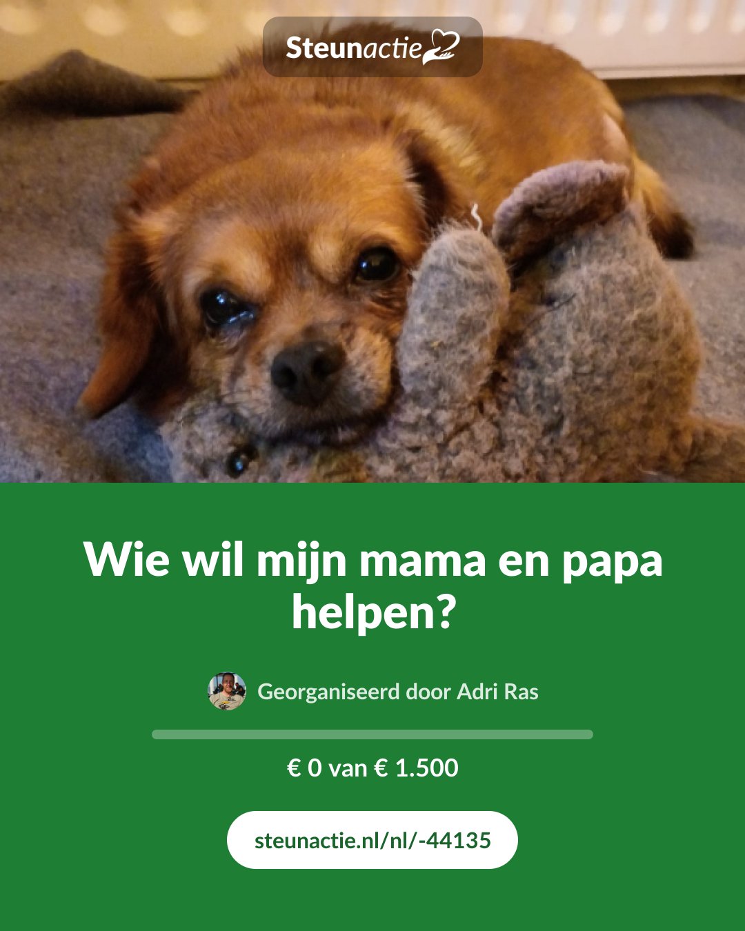 Voorbeeld van de afbeelding