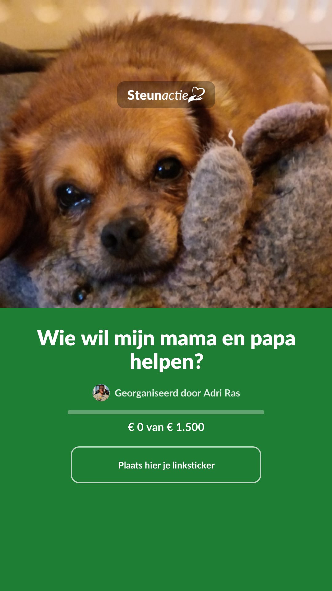 Voorbeeld van de afbeelding