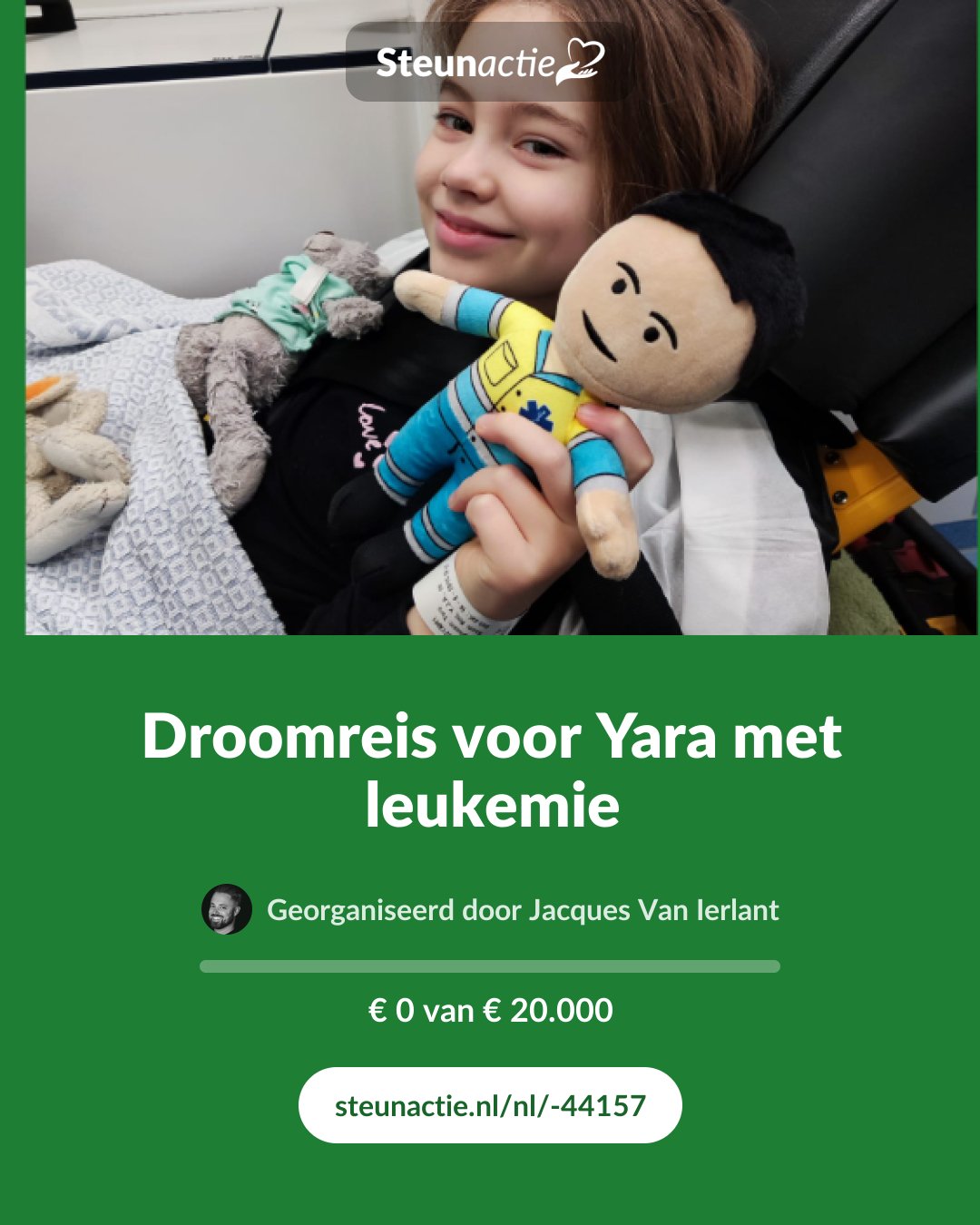Voorbeeld van de afbeelding