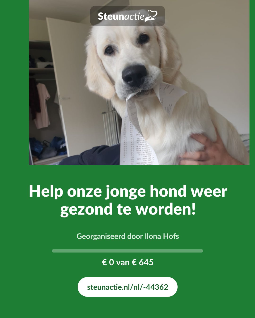 Voorbeeld van de afbeelding