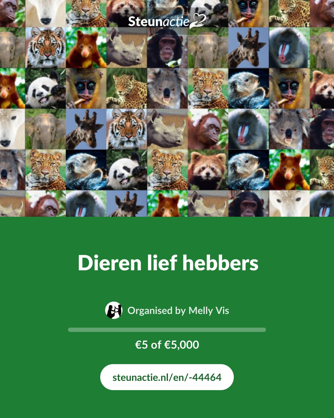 Preview of the image