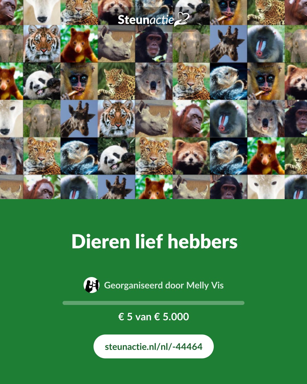 Voorbeeld van de afbeelding