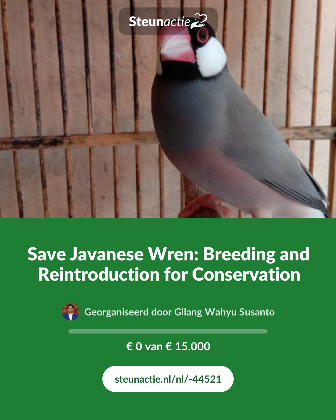 Voorbeeld van de afbeelding