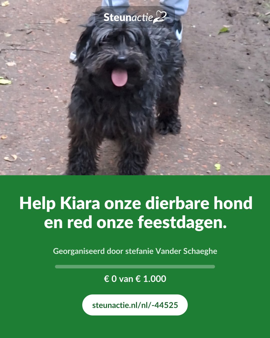 Voorbeeld van de afbeelding