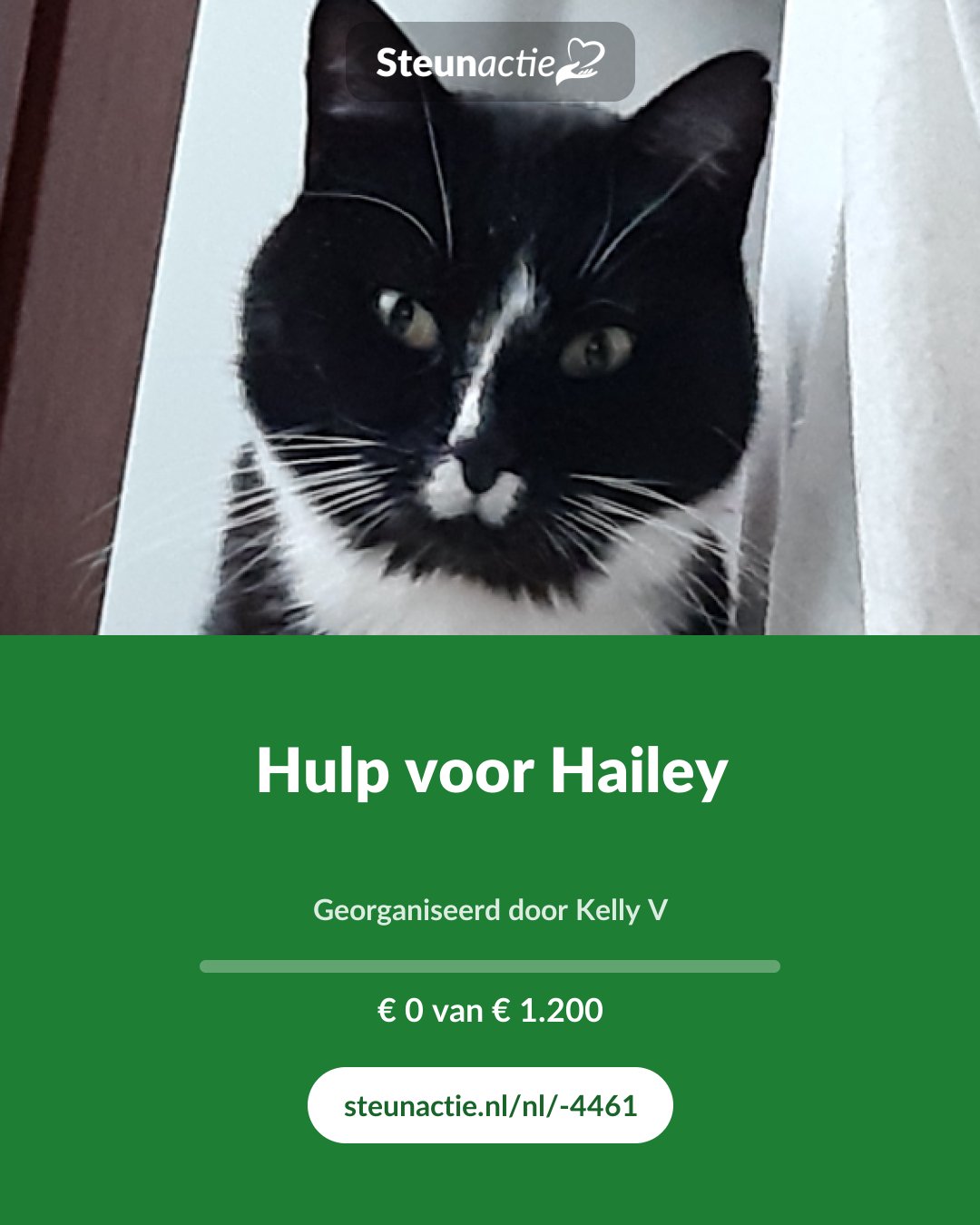 Voorbeeld van de afbeelding