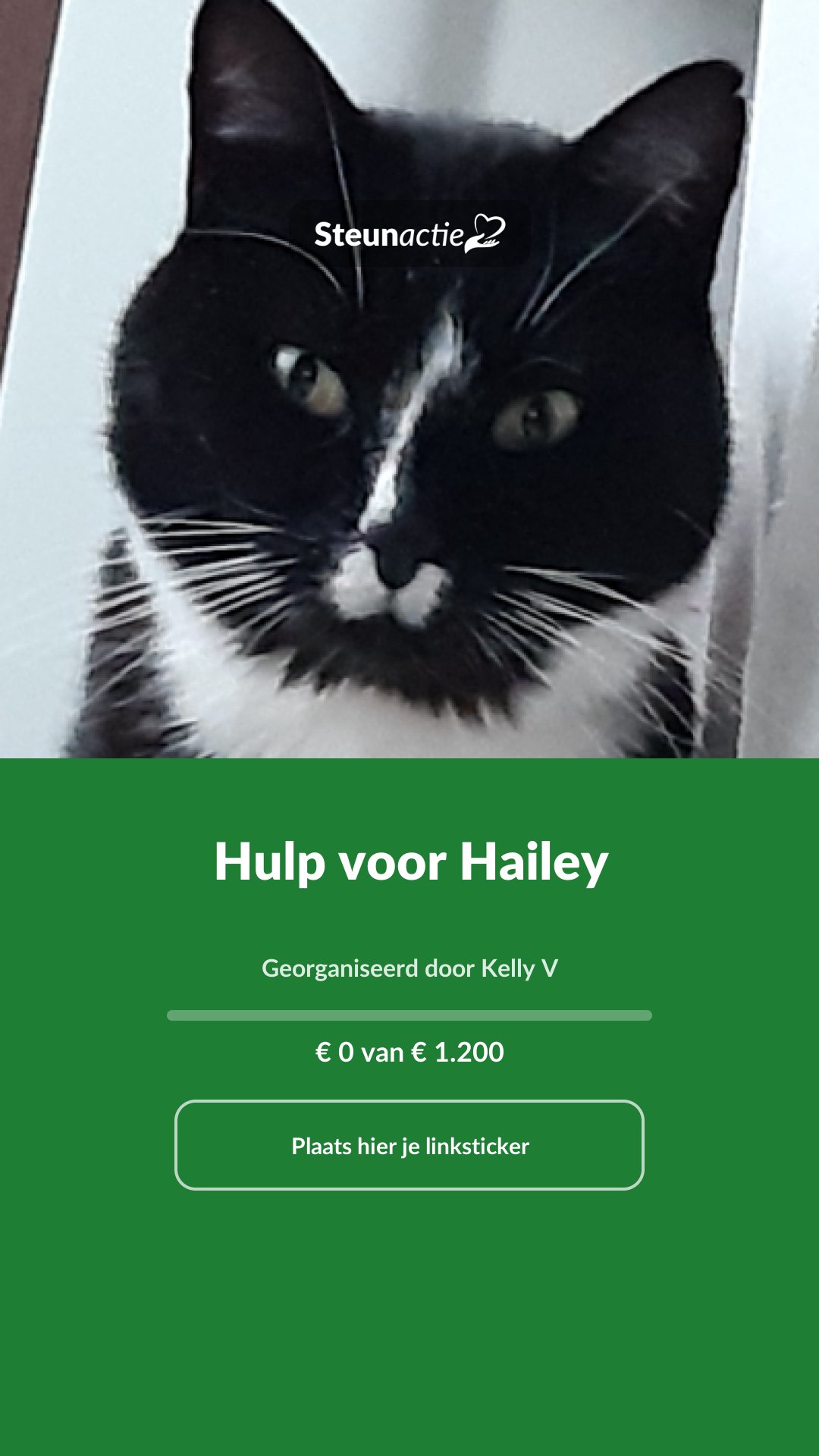 Voorbeeld van de afbeelding